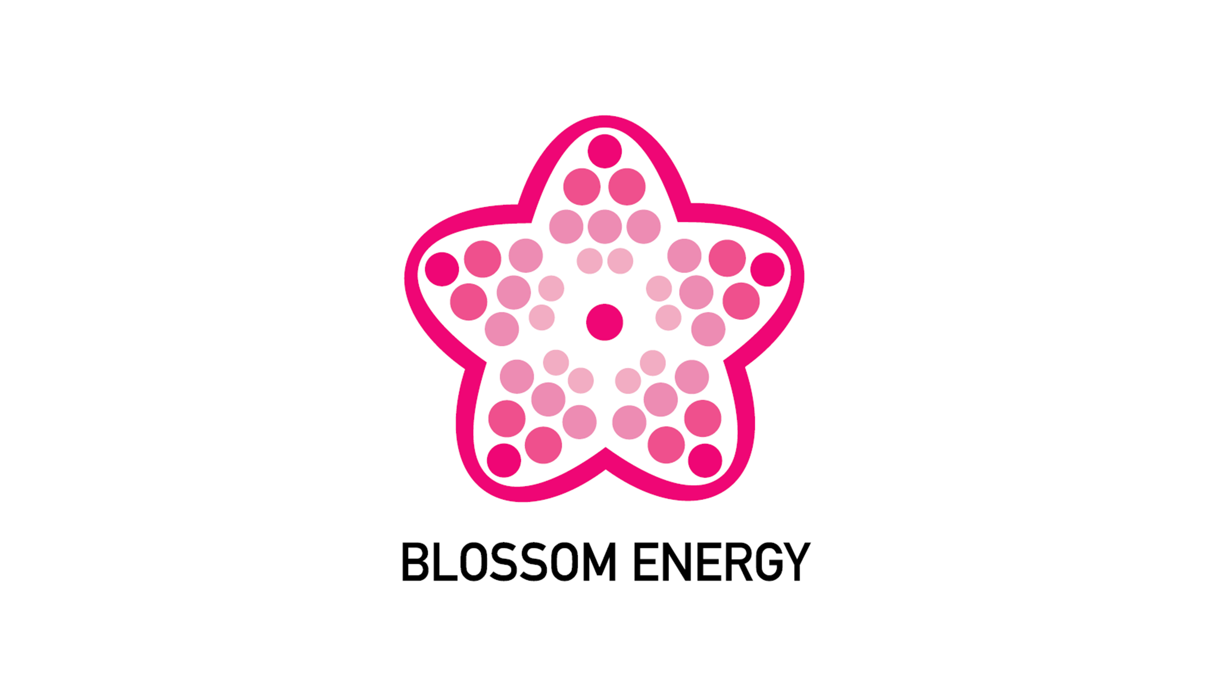 株式会社Blossom Energy